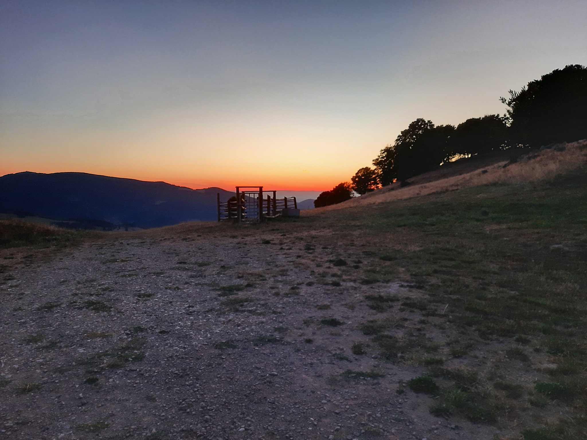 20220813210245 20220813 210244